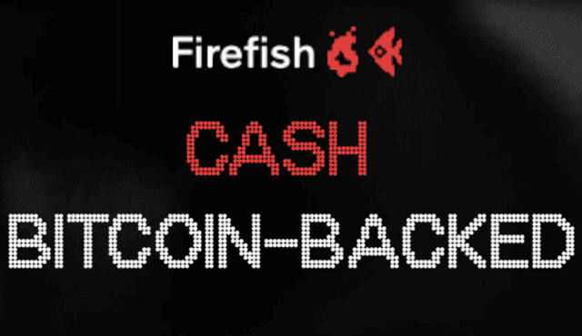 Firefish – pôžička proti zástave bitcoinu [RECENZIA]